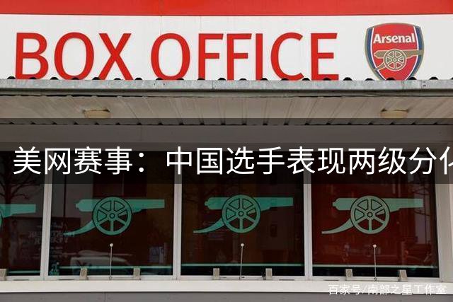 美网赛事：中国选手表现两级分化